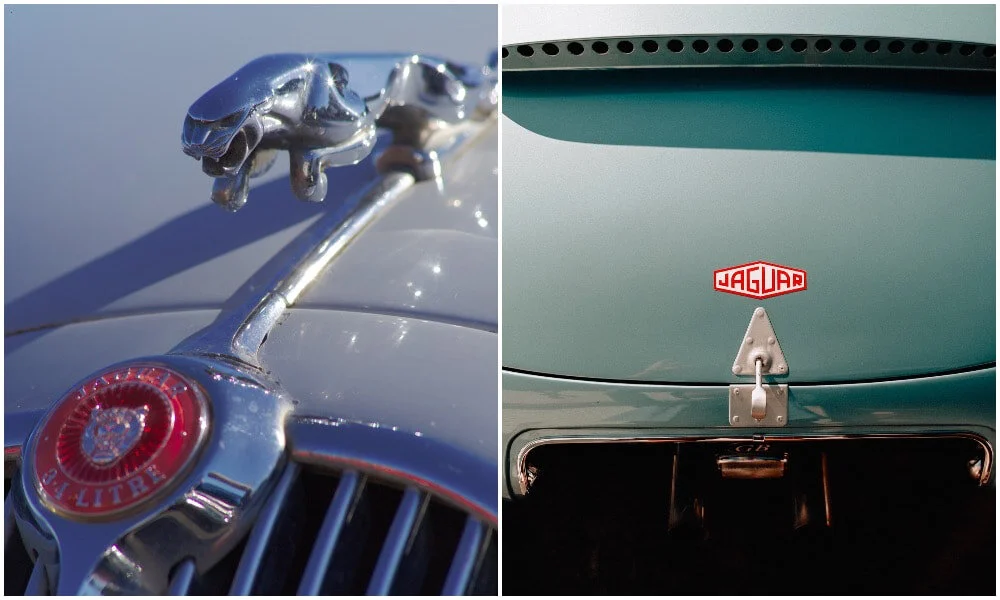 Jaguar specialist cheap